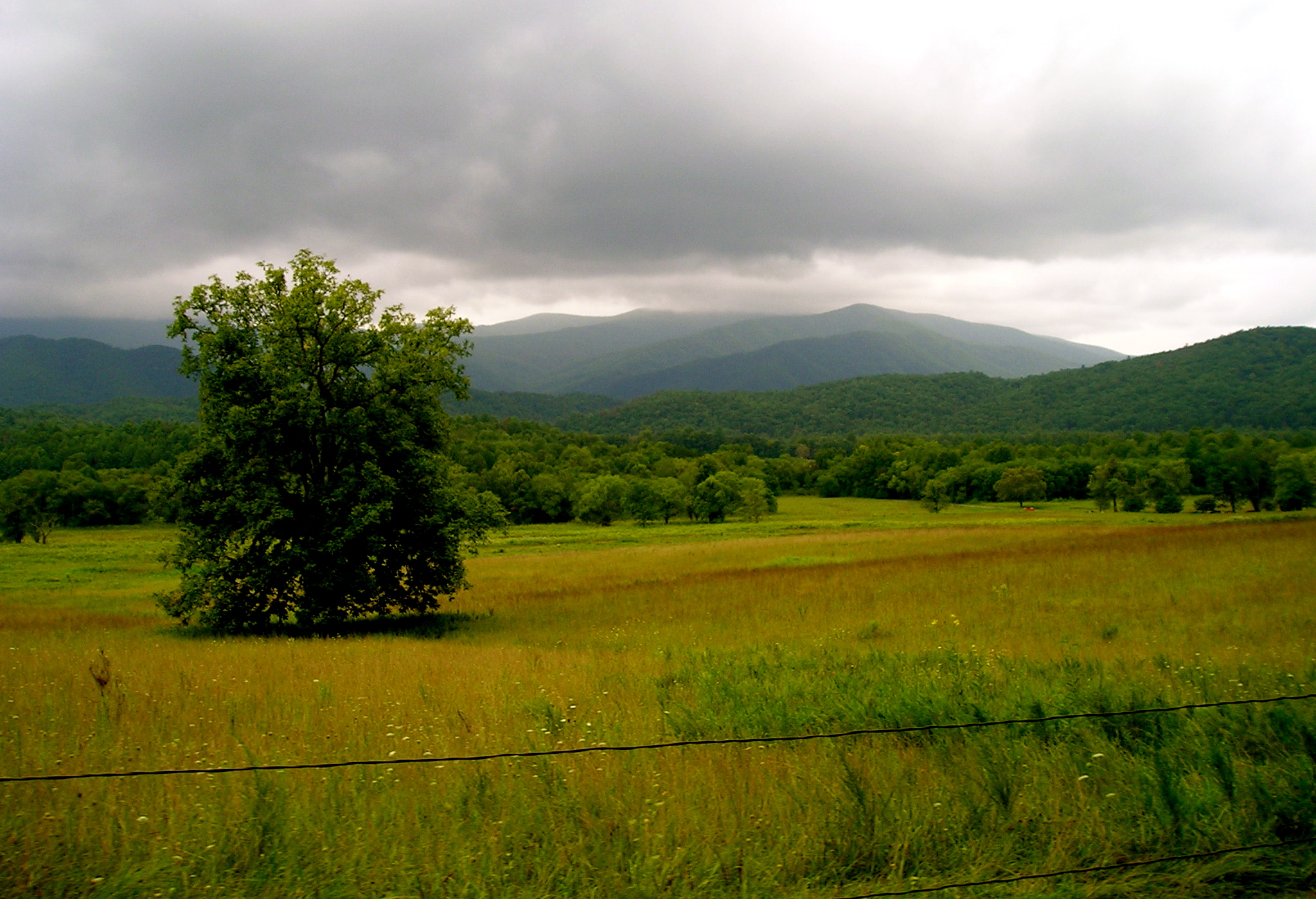 cadescove.jpg